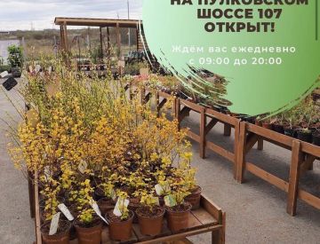 ОТКРЫЛИ НАШ СЕЗОННЫЙ Садовый Центр!!!